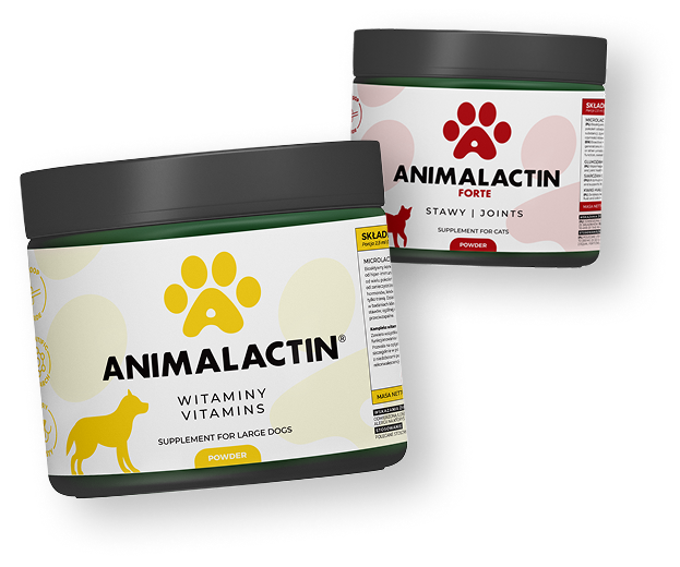 Fotografie obalu produktu